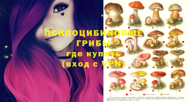 прущие крисы Абаза