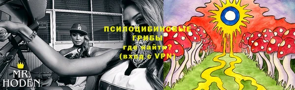 прущие крисы Абаза