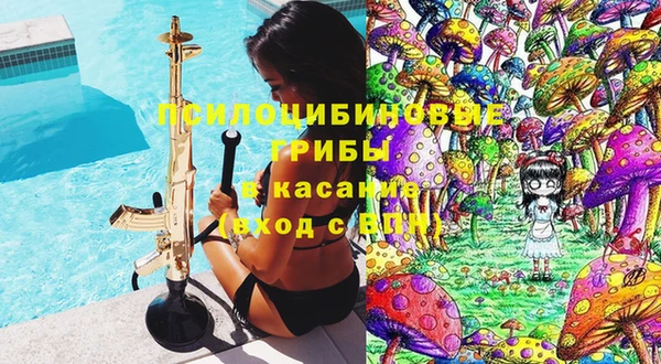 прущие крисы Абаза