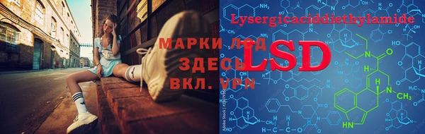 стаф Абинск