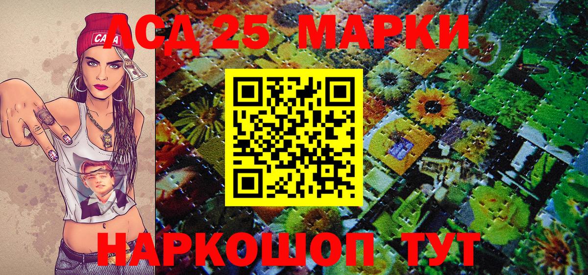 МЕФ Новокузнецк
