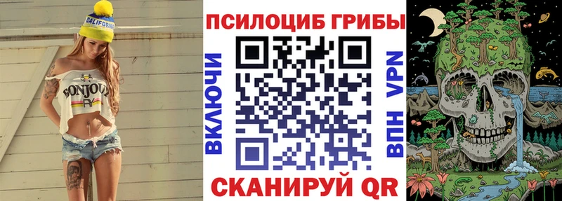 продажа наркотиков  Новокузнецк  Галлюциногенные грибы Cubensis 