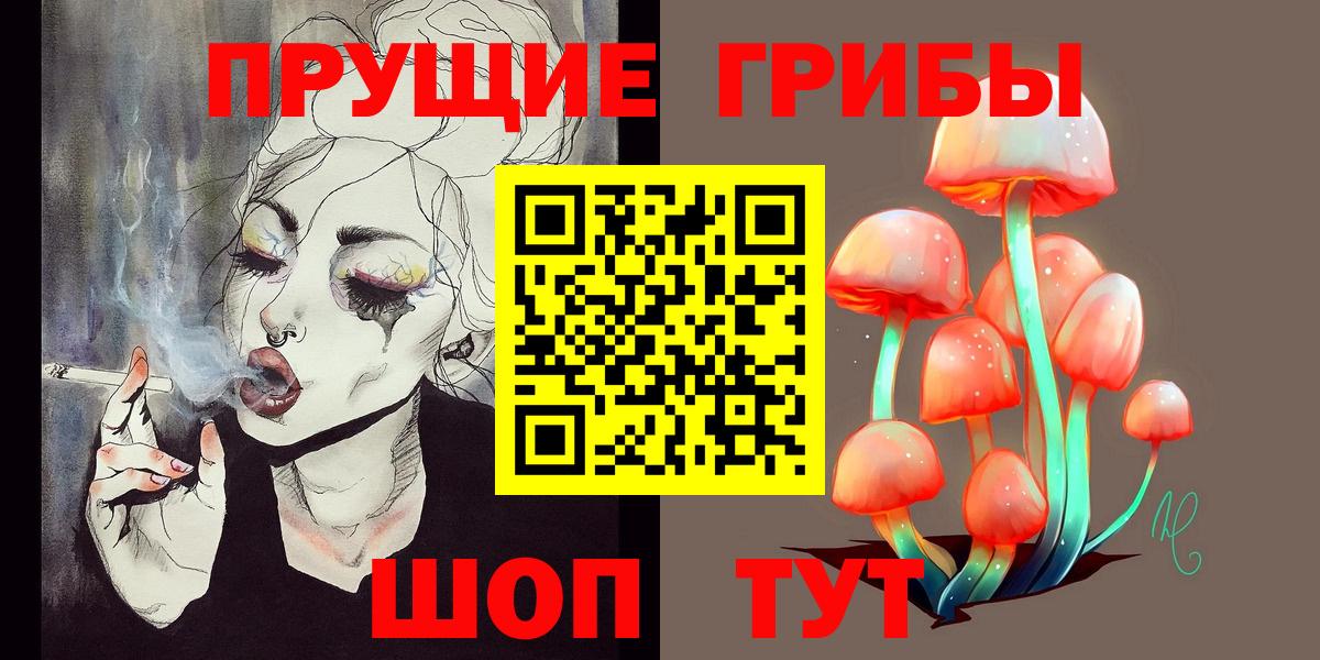 Новокузнецк  Псилоцибиновые грибы Psilocybine cubensis  Галлюциногенные грибы Psilocybe  Вход с VPN 