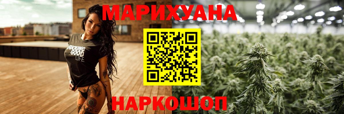 Конопля гибрид Новокузнецк